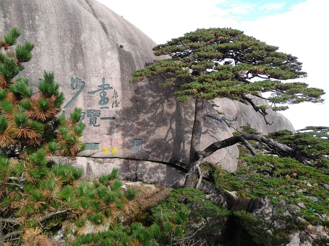 日登黃山，夜醉溫泉！